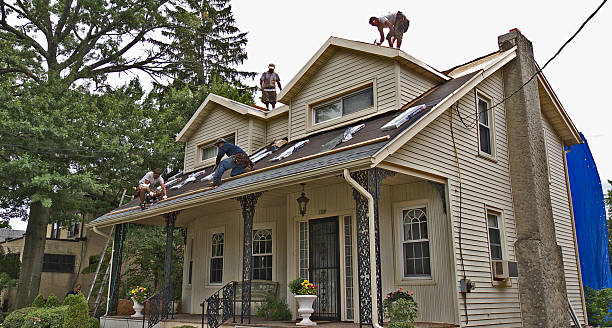 Best Metal Roofing Contractor  in Knoxville, TN